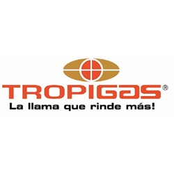 GRUPO TOMZA