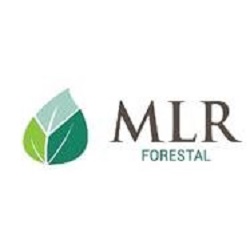 MLR FORESTAL DE NICARAGUA