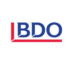 BDO Figueroa Jiménez
