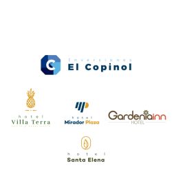 Inversiones el Copinol