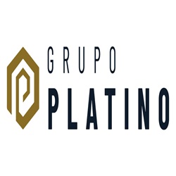 HQS INVERSIONES, S.A. DE C.V.