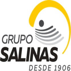 Grupo Salinas