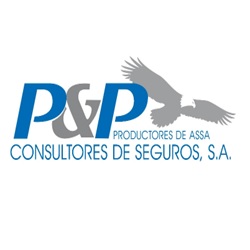 penaloza penaloza consultores