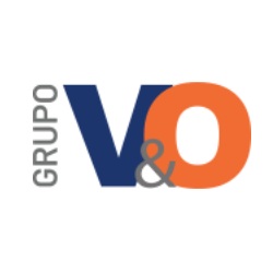 Grupo VYO