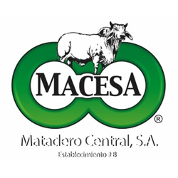 MATADERO CENTRAL S.A